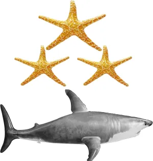 3PCS Inflatable Starfish and Huge Shark Balloons Toy,Ocean Aniamal Themed Party Decorations for Birthday Baby Shower Pool Beach Party Supplies