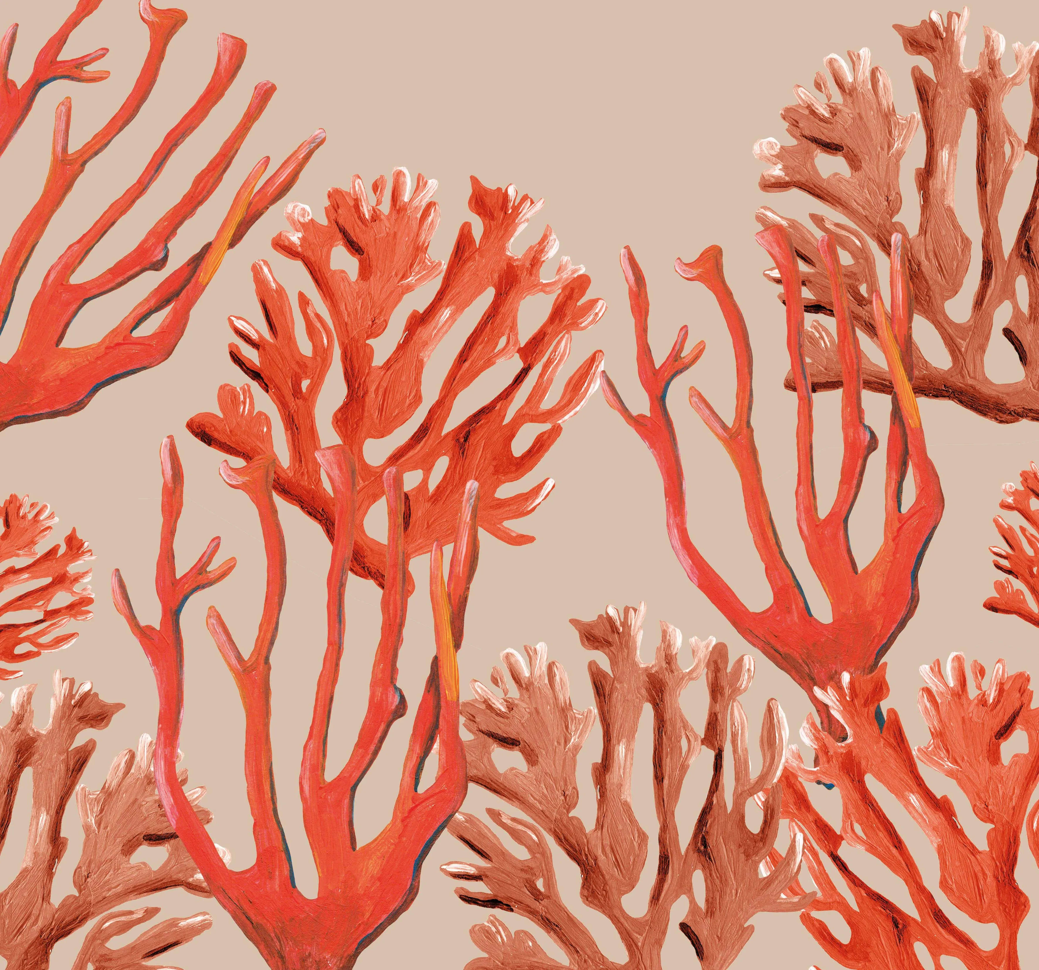 Coastal Coral  Red Mural | Catchii Netherlands Europe