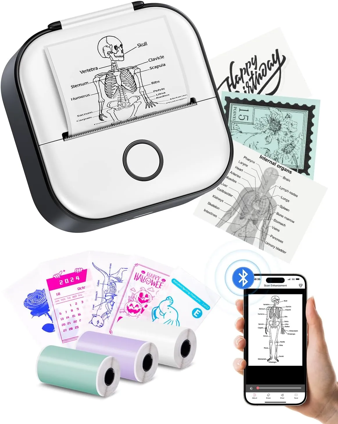 Memoking Mini Printer - Sticker Printer T02 Portable Thermal Inkless Sticker Maker Machine, Bluetooth Pocket Labeler for Study Graphics, Anatomical Diagrams, Photos, Receipts, Black