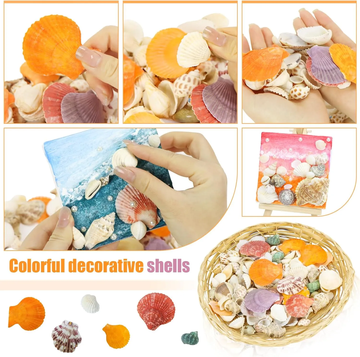 Mixed Sea Shells, 100  Pcs Beach Seashells Starfish, Various Sizes Ocean Seashells for Fish Tank Vase Fillers, Beach Theme Party Wedding Decor, Candle Making, DIY Crafts