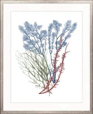 Seaweed Collage I