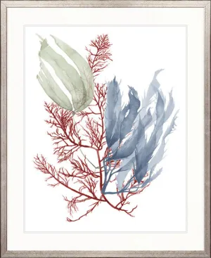 Seaweed Collage III