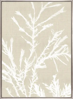 Seaweed Harmony III (Canvas)