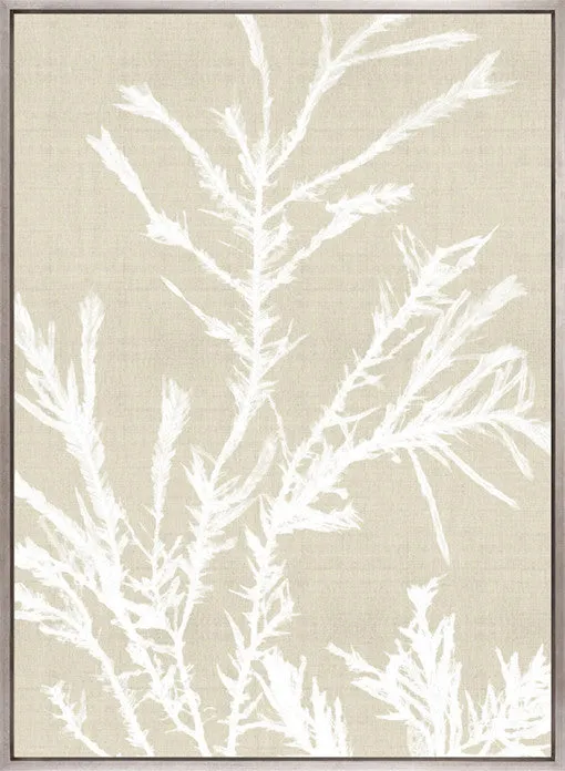 Seaweed Harmony III (Canvas)