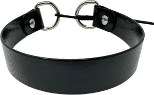 SparkDog Collars HiFlex Quick Adjust E-Collar Replacement Strap Dog Training Collar Fits Educator, Garmin, Dogtra, Sportdog Replacement Strap, Genuine BioThane®-Made in The USA (HiFlex Black, 1")
