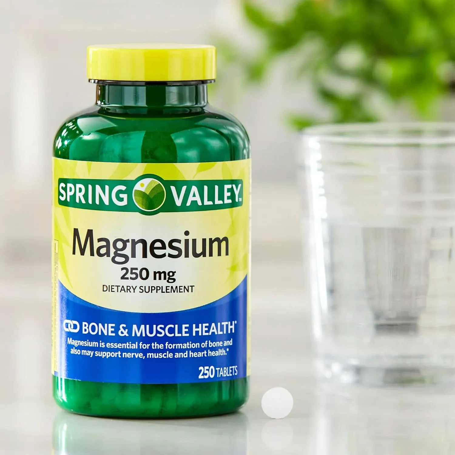 Spring Valley Magnesium 250mg 250 Count, Bone & Muscle Health, Best Magnesium Supplement for Women, Dietary Supplement Bundle with Lual's 45 Diabetes Decoded