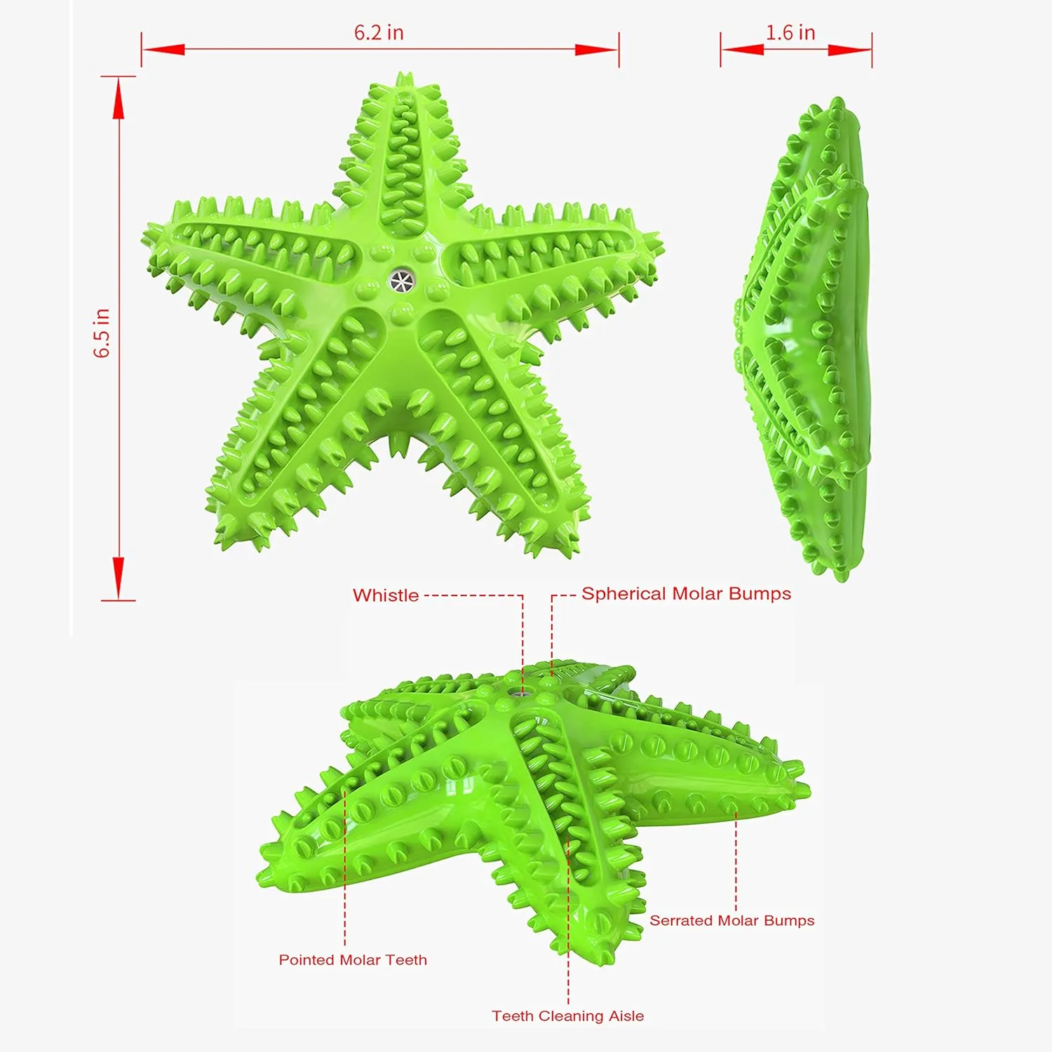 Squeaky Dog Toys - Starfish Natural Teeth Cleaning Toy for Small & Medium Dogs (Green)