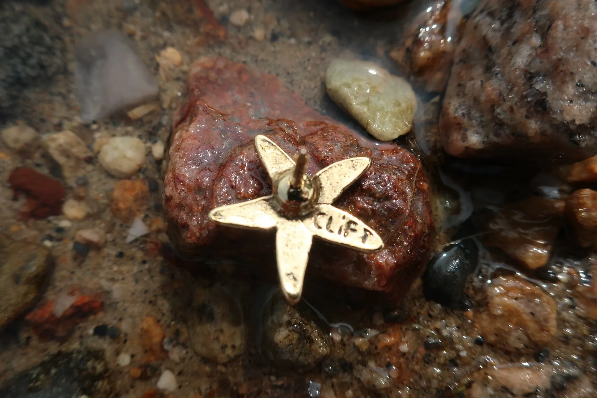 Starfish Gold Lapel Pin