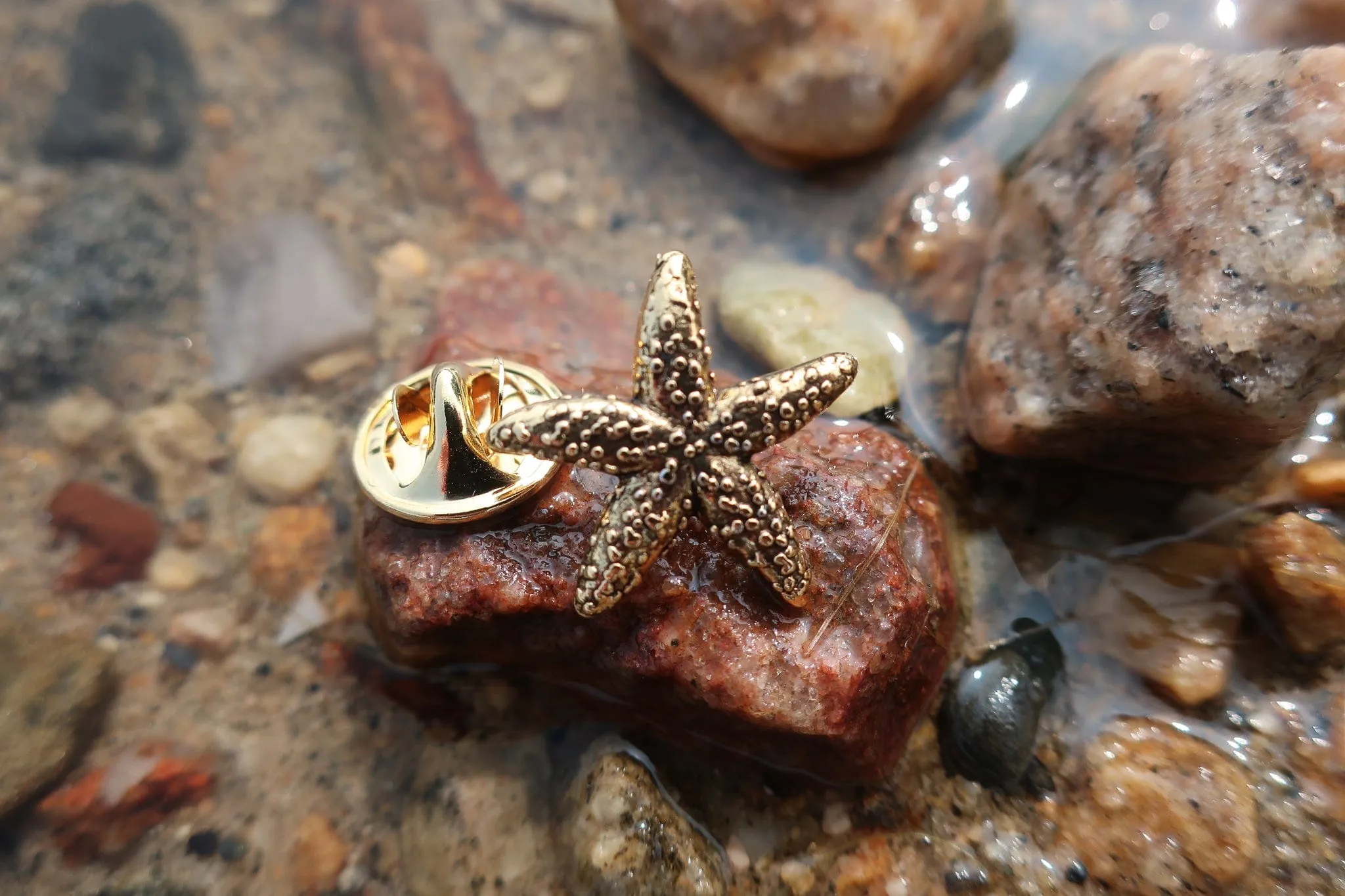 Starfish Gold Lapel Pin