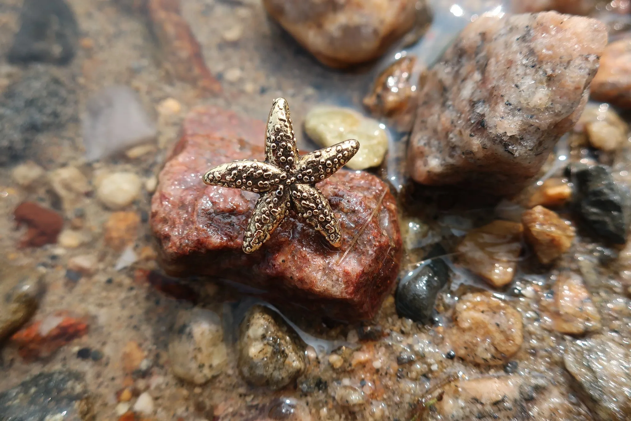 Starfish Gold Lapel Pin