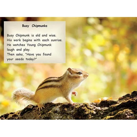 Strong Readers Set B: Busy Chipmunks (L17)
